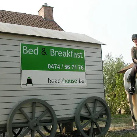 فندق مبيت وإفطار The Beachhouse