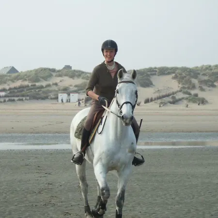 Panzió The Beachhouse 3*